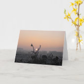 La carte de voeux/a givré le champ près de (Fleur jaune)