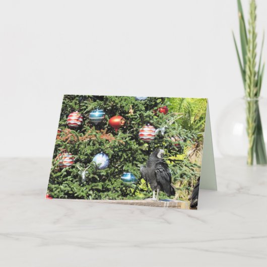 La carte de voeux des vautours pour l'arbre de Noë (Devant)