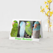 La carte de voeux d'oiseau de joyeux anniversaire (Fleur jaune)