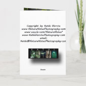 La Carte De Voeux Étendue (Dos)