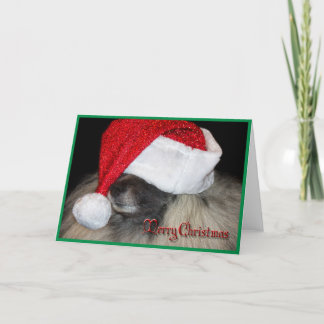 La carte de voeux inconnue de pattes de Père Noël