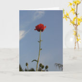 La carte de voeux limite du ciel (Fleur jaune)