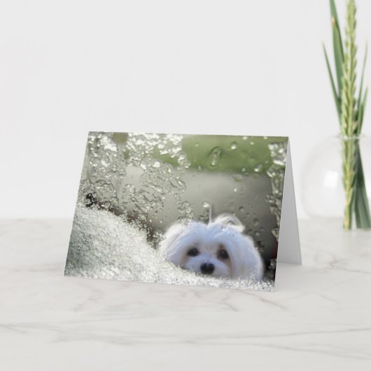 La carte de voeux maltaise Snowdrop (Devant)