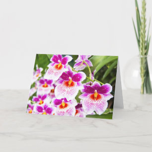 La carte de vœux orchidées Cattleya fuchsia et bla