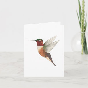 La carte des colibris d'Allen