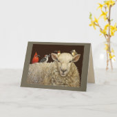 La carte des collecteurs de laine (Fleur jaune)