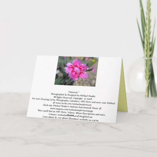 La Carte du Butterfly (Dos)