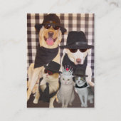 La carte du Groomer (Dos)