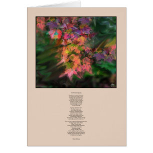 La carte du jour précédent