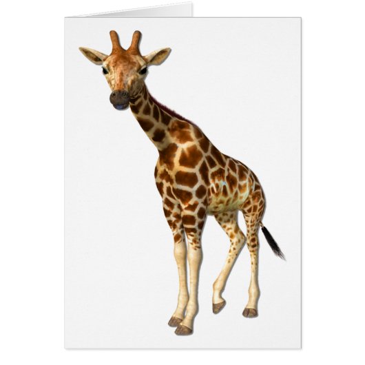 La carte Giraffe (Devant)