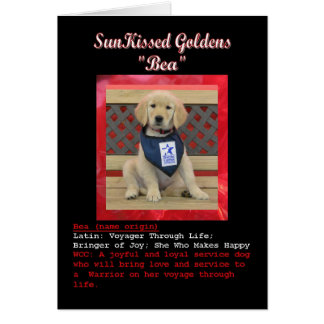 La carte nominative de Bea