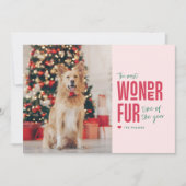 La carte photo de vacances pour animaux la plus me (Devant)