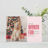 La carte photo de vacances pour animaux la plus me (Debout devant)