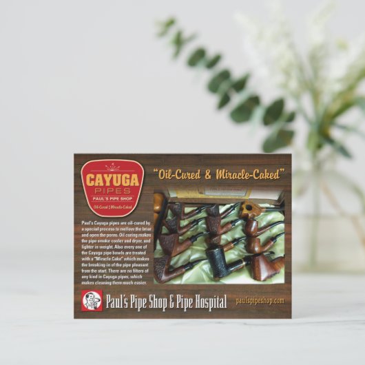 La carte postale Cayuga de Paul (Debout devant)