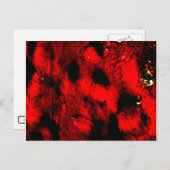 La carte postale de Burning Man (Devant / Derrière)