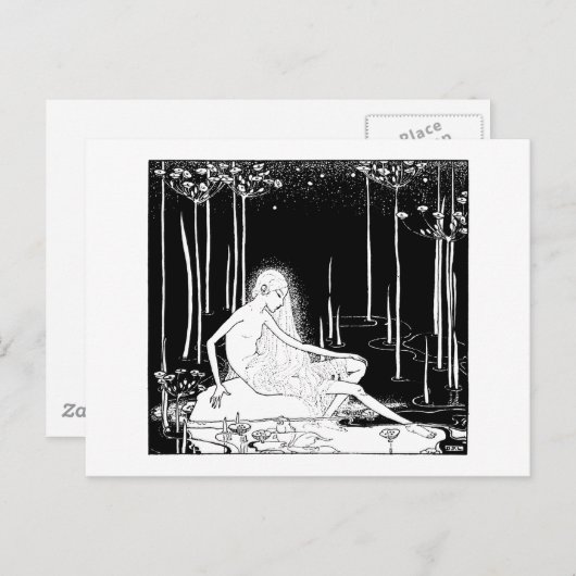 La carte postale de la chanson Midden (Devant / Derrière)