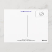 La carte postale de la chaussette abandonnée (Dos)