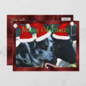 La carte postale de Noël d'enfants de chèvre peut (Devant / Derrière)