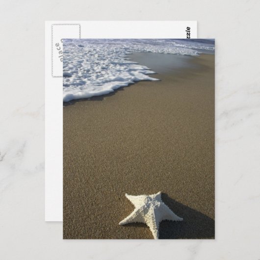 La carte postale de plage (Devant / Derrière)