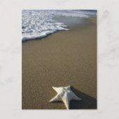 La carte postale de plage (Devant)