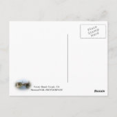 La carte postale de Venice Beach Canal ! (Dos)