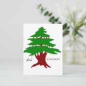 La carte postale du cèdre ancien du Liban (Debout devant)