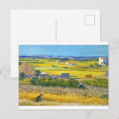 La carte postale du chat de la récolte (Devant / Derrière)