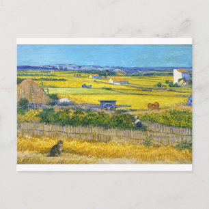 La carte postale du chat de la récolte