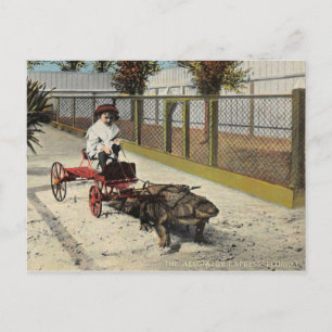 La carte postale du go-cart Alligator