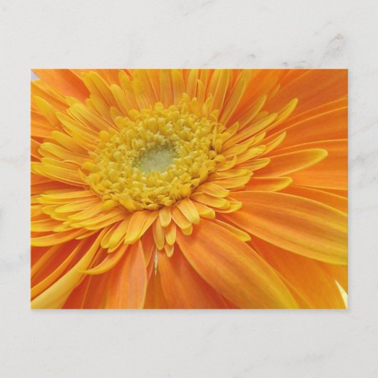 La carte postale du mot de maman (Devant)