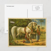 La carte postale du sultan (Devant / Derrière)