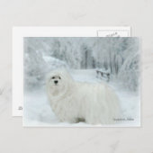 La carte postale maltaise Snowdrop (Devant / Derrière)