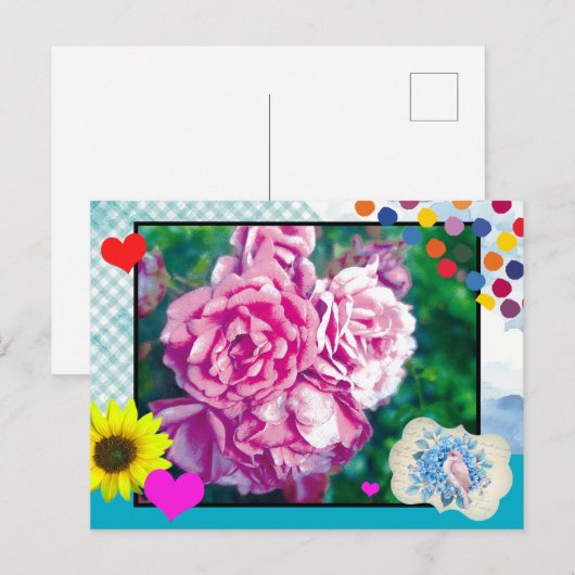 La carte postale Rose (Devant / Derrière)