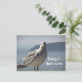 La carte postale Seagull't care (Debout devant)