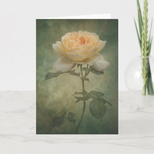 La carte rose unique