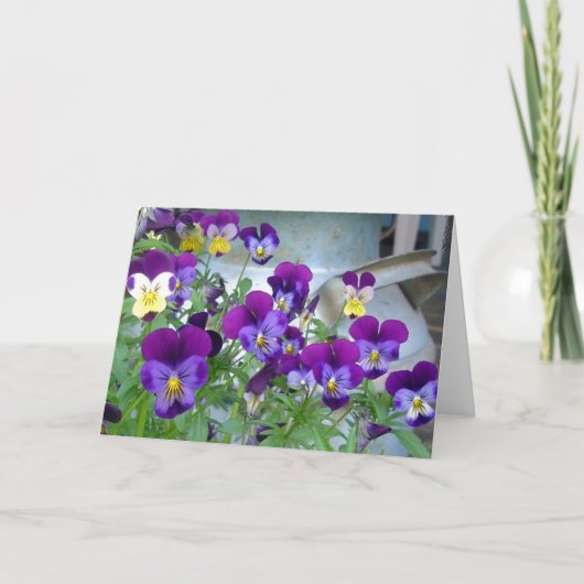 La carte Violets de LeAnn (Devant)