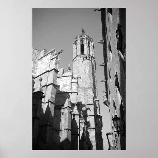 La Catedral Gargoyles Photo Poster Art Print (Devant)