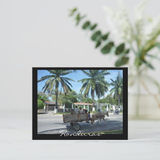 la ceiba transport briefkaart (Staand voorkant)