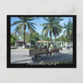 la ceiba transport briefkaart (Voorkant)