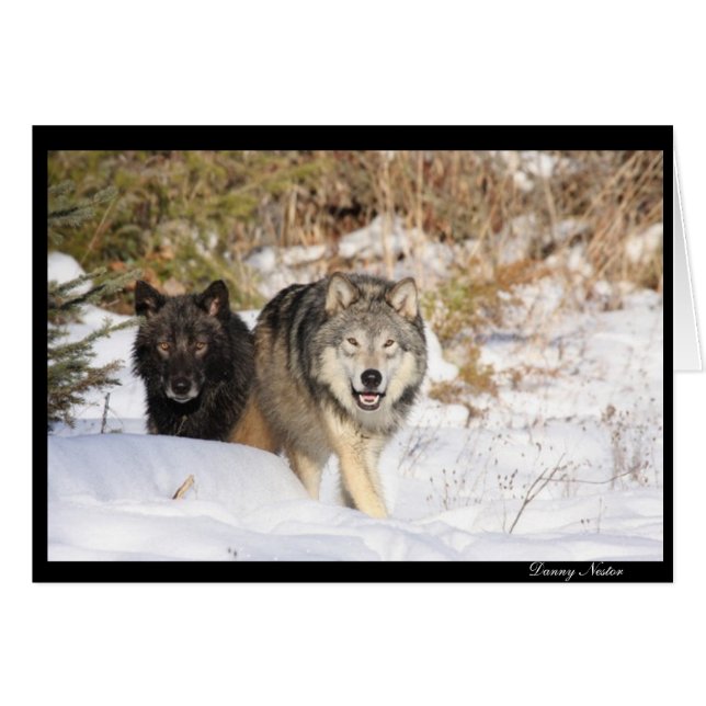 La chasse (Devant horizontal)