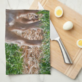 La chèvre pygméenne badine la serviette de cuisine (Quart Plié)