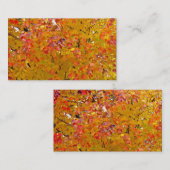 La chute laisse des cartes de visite, feuille (Devant / Derrière)