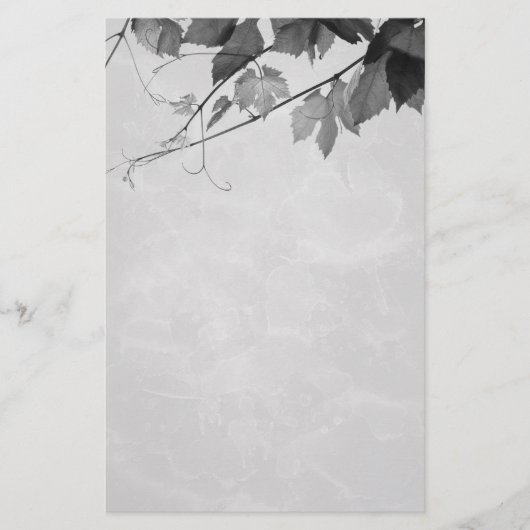 La chute laisse la papeterie gothique (Devant)