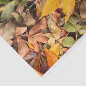 La chute laisse le papier de soie de soie (Détail)