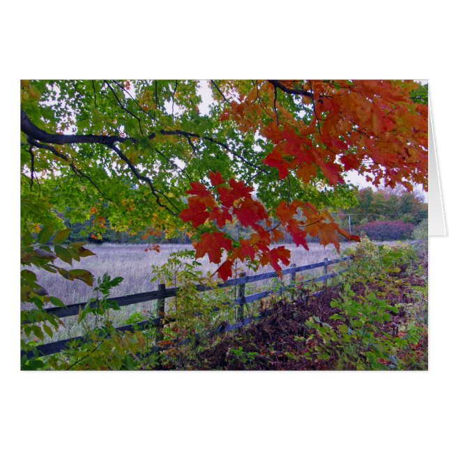 La clôture (Devant horizontal)