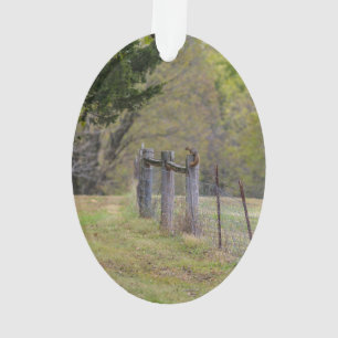 La clôture de campagne et un écureuil