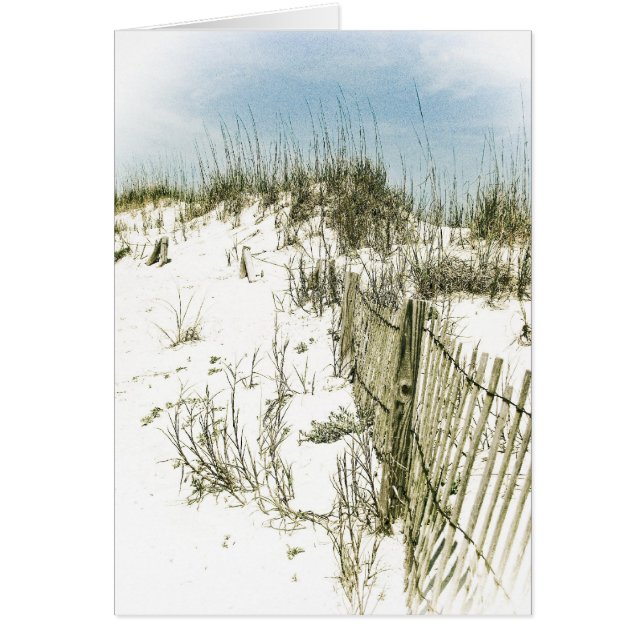 La clôture des dunes de sable (Devant)