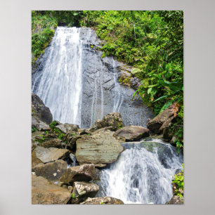 La coca herfst van het nationale bos van el yunque poster