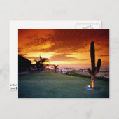 La Concha restaurant, Baja, Mexico Briefkaart (Voorkant / Achterkant)