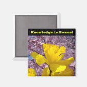 La connaissance magnet de la serrure scolaire est  (Recto/Verso)